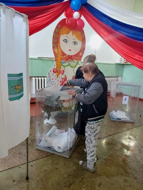 Волонтёры на выборах: не только помощь, но и ценный опыт Волонтёры на выборах: не только помощь, но и ценный опыт