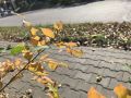 На улице стало прохладнее. Хабаровск +4°C ночью, +14°C днем