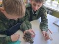 Изучаем природу родного края!