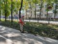 Уборка и благоустройство Биробиджана продолжаются