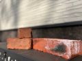 ���������� �. ������� ������� �������� ���� �������� ����� �����