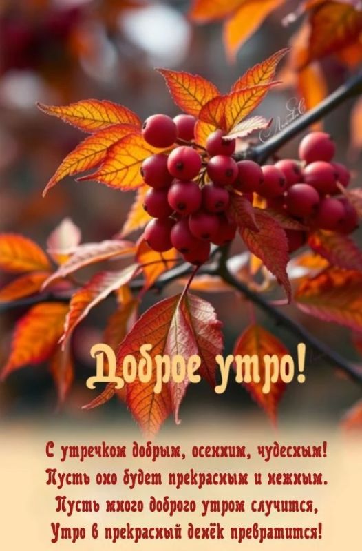 Доброе утро!. Пусть этот день начнётся с улыбки и хорошего настроения