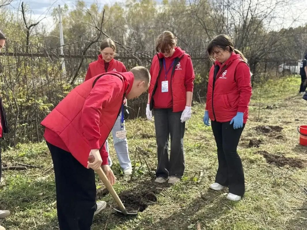 Аллею из 100 саженцев ясеня высадили в Кульдуре ЕАО Аллею из 100 саженцев ясеня высадили в Кульдуре ЕАО