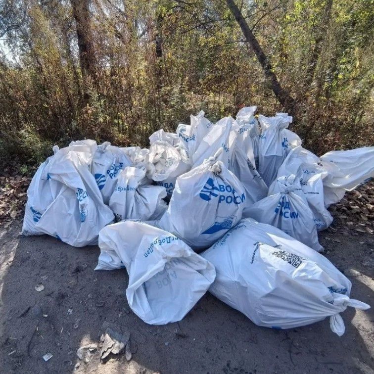 Сотрудники департамента приняли участие в мероприятии по санитарной очистке водоохранной зоны реки Бира в районе ул. Невской, приуроченном к Общероссийской акции по уборке от мусора водоемов и их берегов «Вода России» Сотрудники департамента приняли участие в мероприятии по санитарной очистке водоохранной зоны реки Бира в районе ул. Невской, приуроченном к Общероссийской акции по уборке от мусора водоемов и их берегов «Вода России»