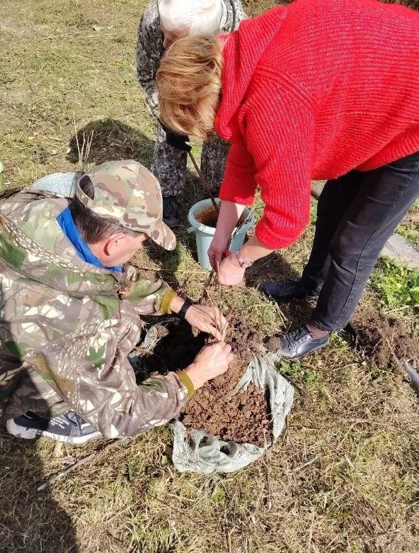 Еврейская автономная область: от горячих ключей Кульдура к зеленому будущему Еврейская автономная область: от горячих ключей Кульдура к зеленому будущему