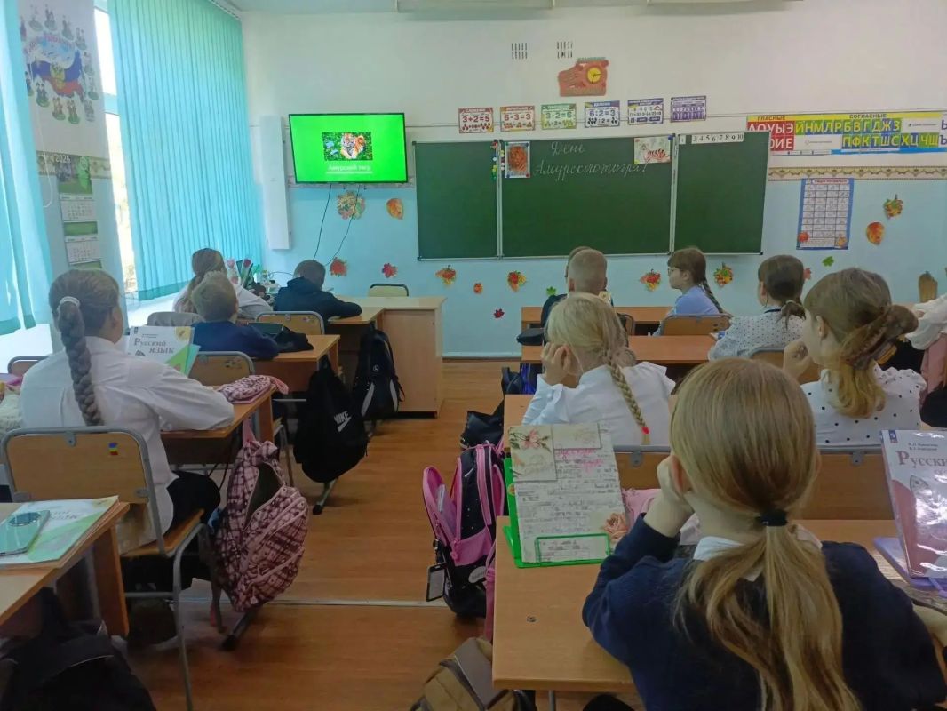 Ученики начальных классов, в отряде «Эколята», провели тематическое занятие, посвящённое Международному Дню тигра