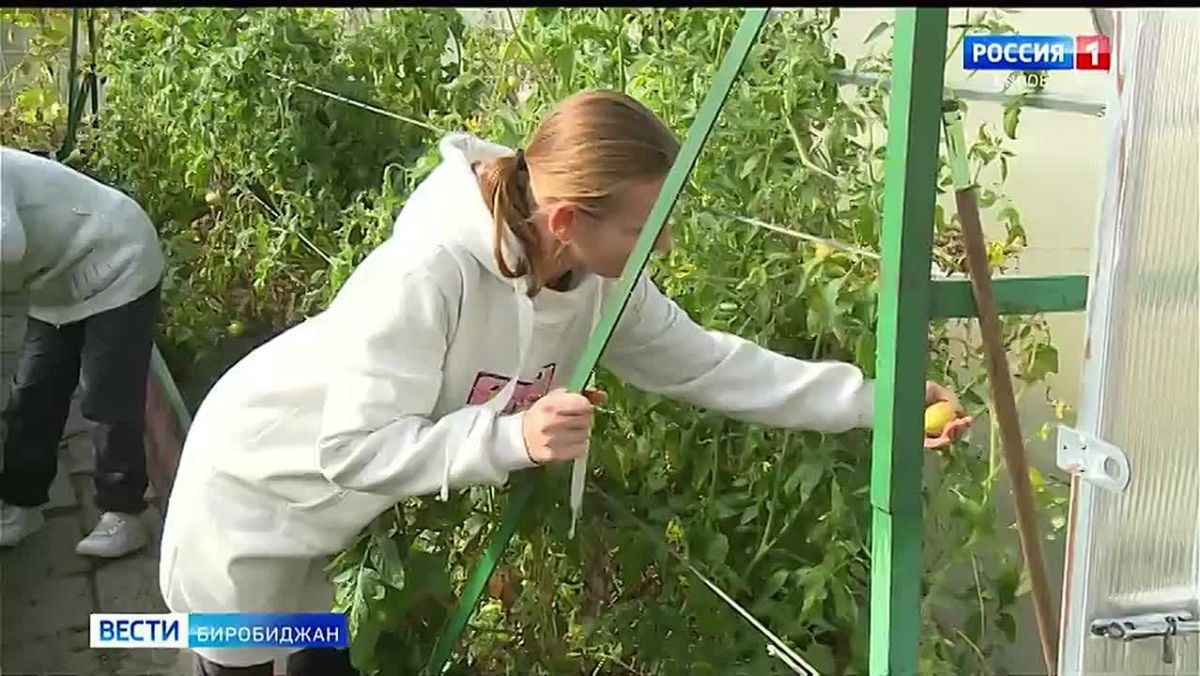 В доме социального обслуживания «Раздольный» собрали богатый урожай