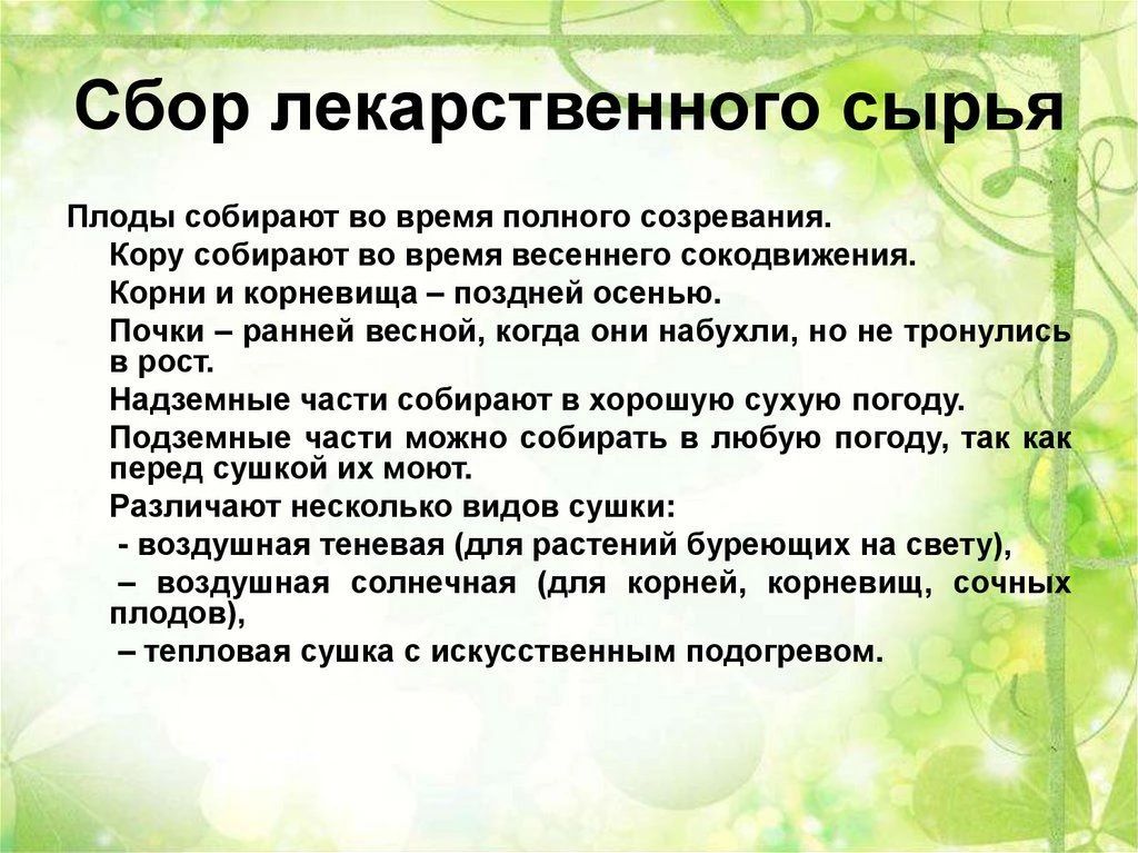 С началом массового сбора дикоросов помните о необходимости соблюдения элементарных правил безопасности С началом массового сбора дикоросов помните о необходимости соблюдения элементарных правил безопасности