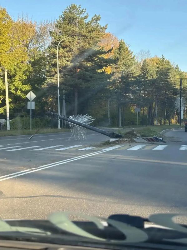 Столб рухнул на автомобиль в ночном ДТП в районе ул. Советская в Биробиджане Столб рухнул на автомобиль в ночном ДТП в районе ул. Советская в Биробиджане
