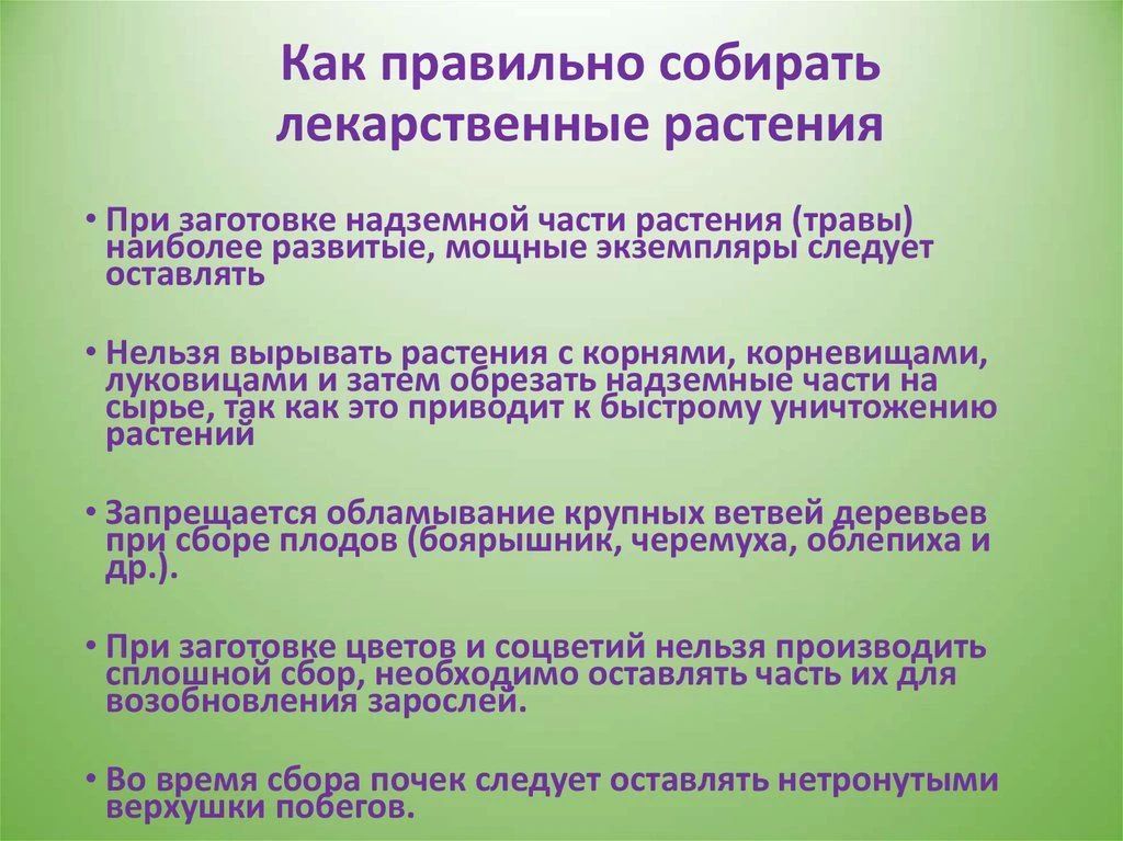 С началом массового сбора дикоросов помните о необходимости соблюдения элементарных правил безопасности С началом массового сбора дикоросов помните о необходимости соблюдения элементарных правил безопасности