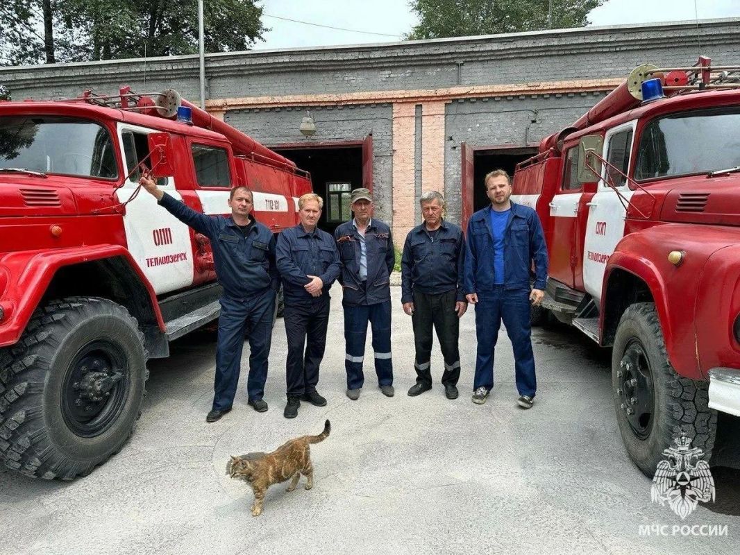 Доброго утра дорогим подписчикам от огнеборцев из Теплоозёрска и их кошки Муси