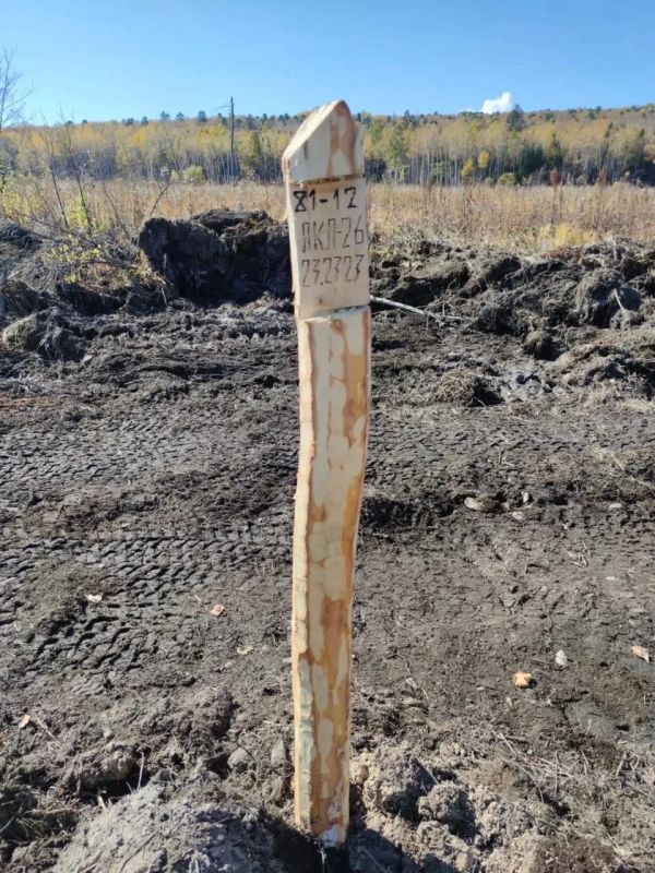 Лесничества проводят техническую приемку лесных культур, заложенных в рамках дня посадки леса и лесовосстановительных мероприятий на землях лесного фонда Лесничества проводят техническую приемку лесных культур, заложенных в рамках дня посадки леса и лесовосстановительных мероприятий на землях лесного фонда