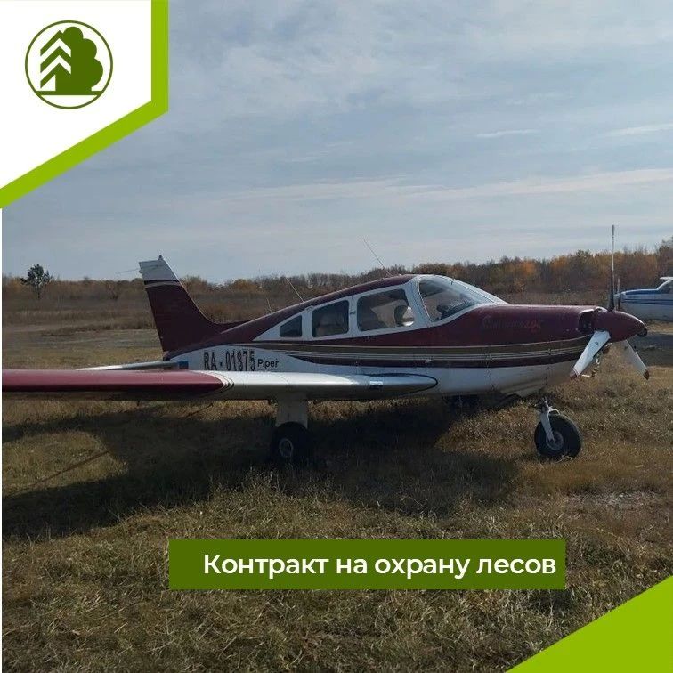 Контракт на охрану лесов с высоты птичьего полета: как 33,5 часа спасают миллионы гектаров