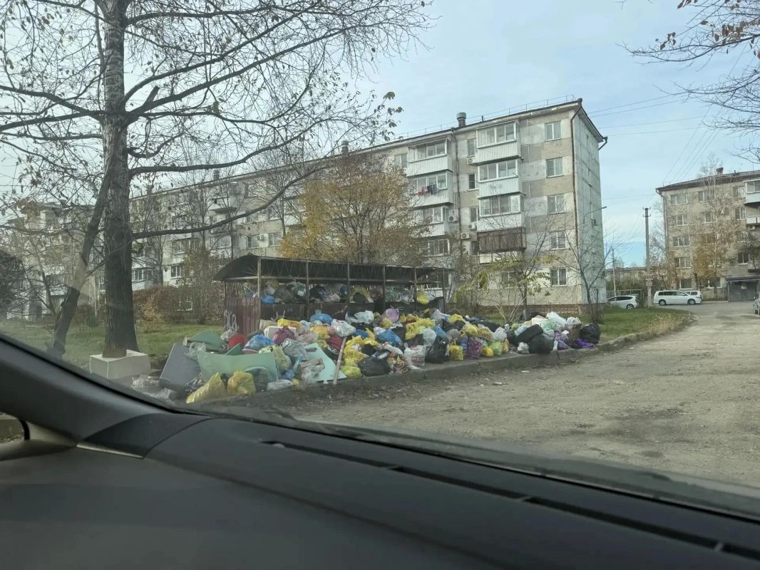 Биробиджан превратился в "помойку" Биробиджан превратился в "помойку"