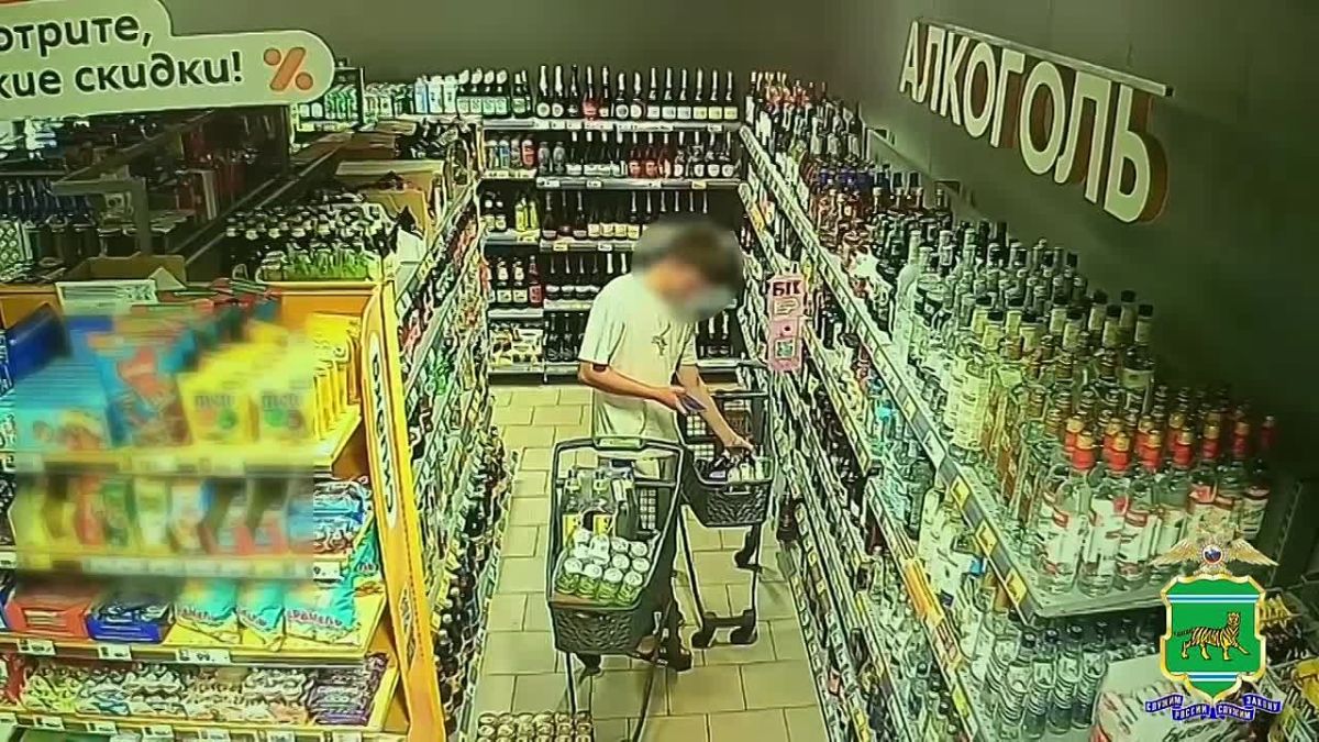 Биробиджанец попался на краже продуктов и алкоголя