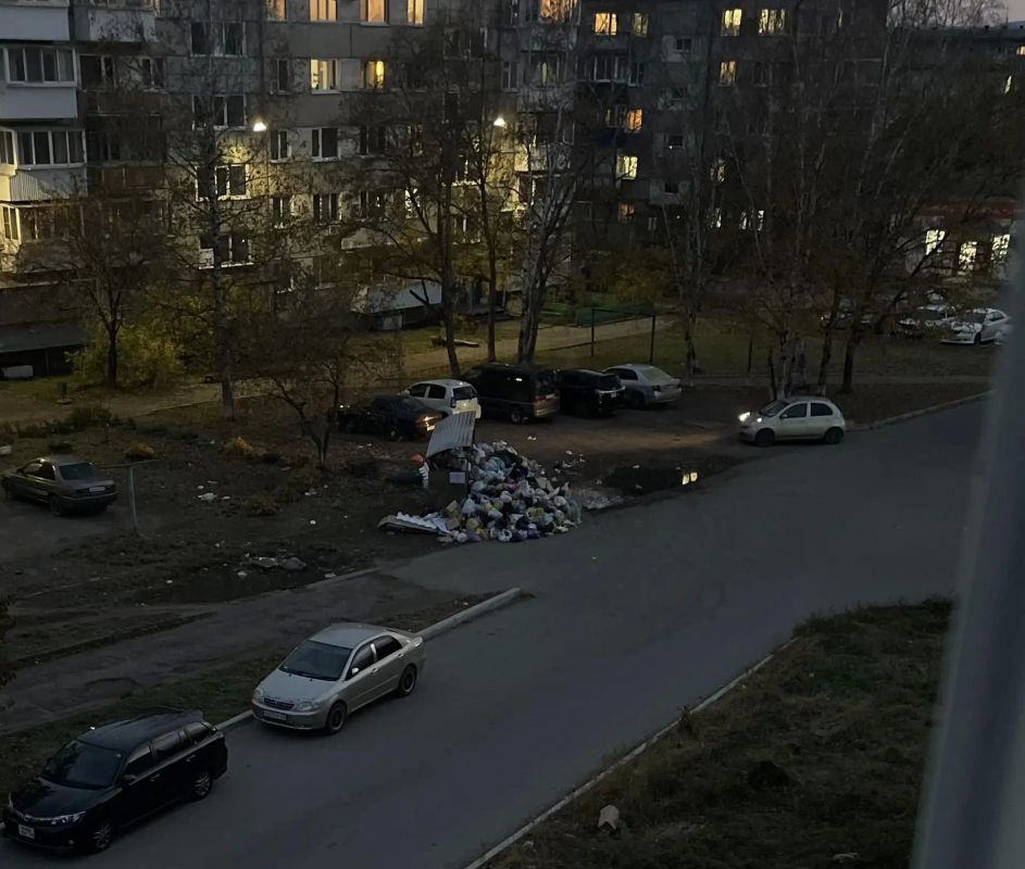 Биробиджан превратился в "помойку" Биробиджан превратился в "помойку"
