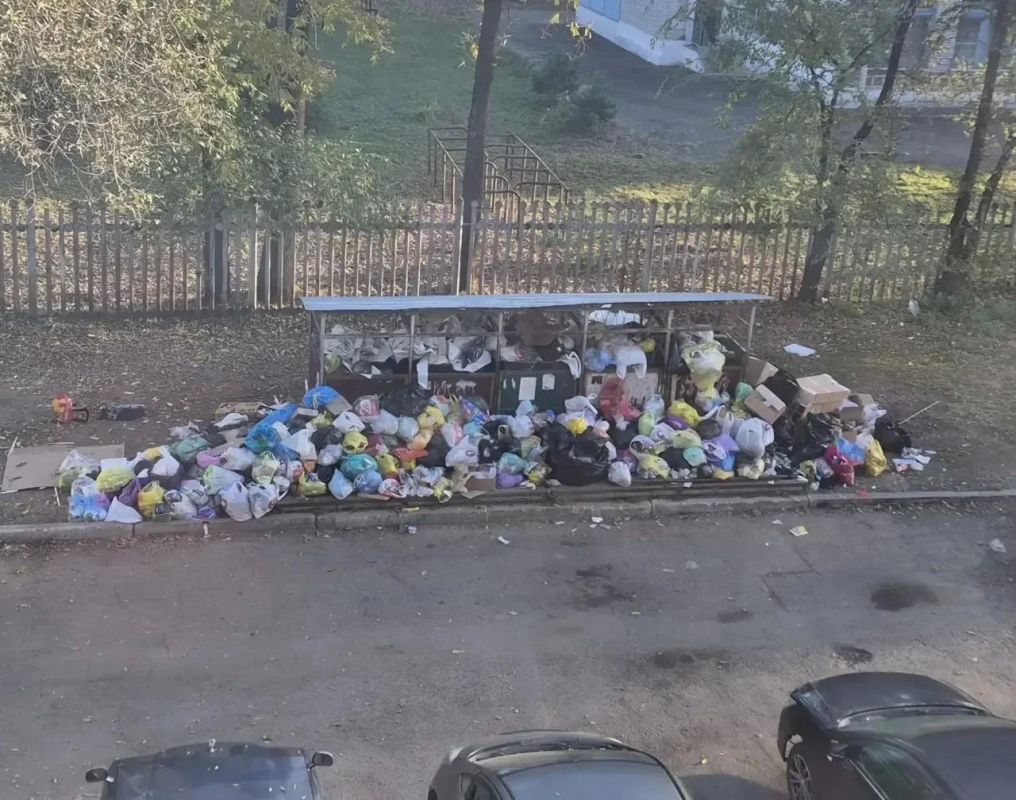 Биробиджан превратился в "помойку" Биробиджан превратился в "помойку"