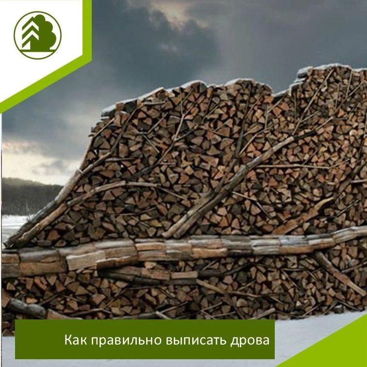 Как правильно выписать дрова: пошаговая инструкция Как правильно выписать дрова: пошаговая инструкция
