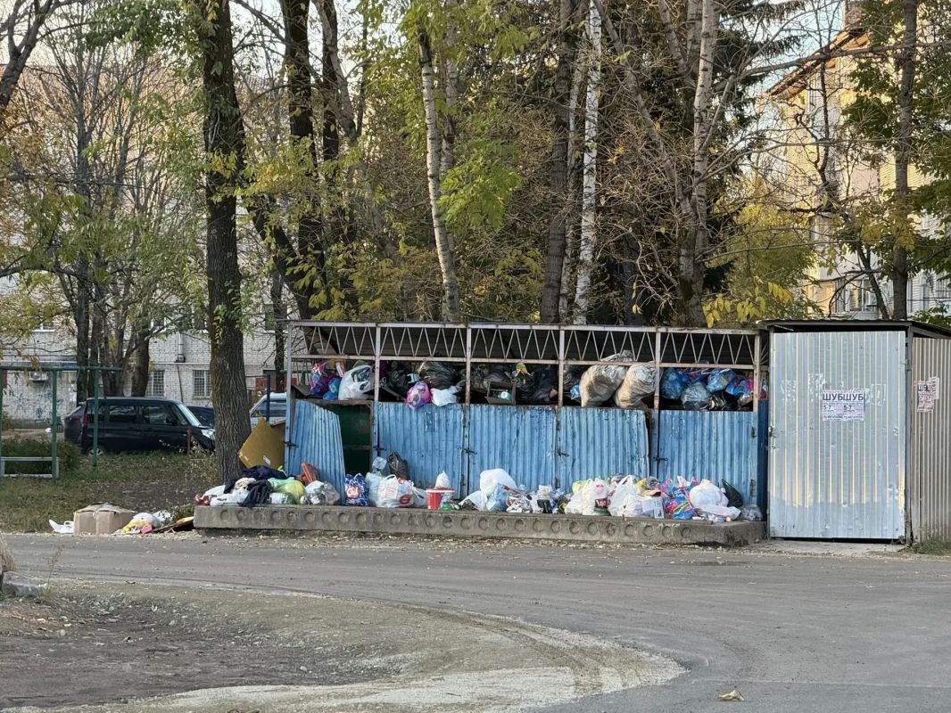 Биробиджан превратился в "помойку"