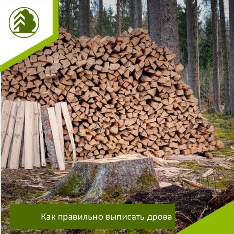 Как правильно выписать дрова: пошаговая инструкция