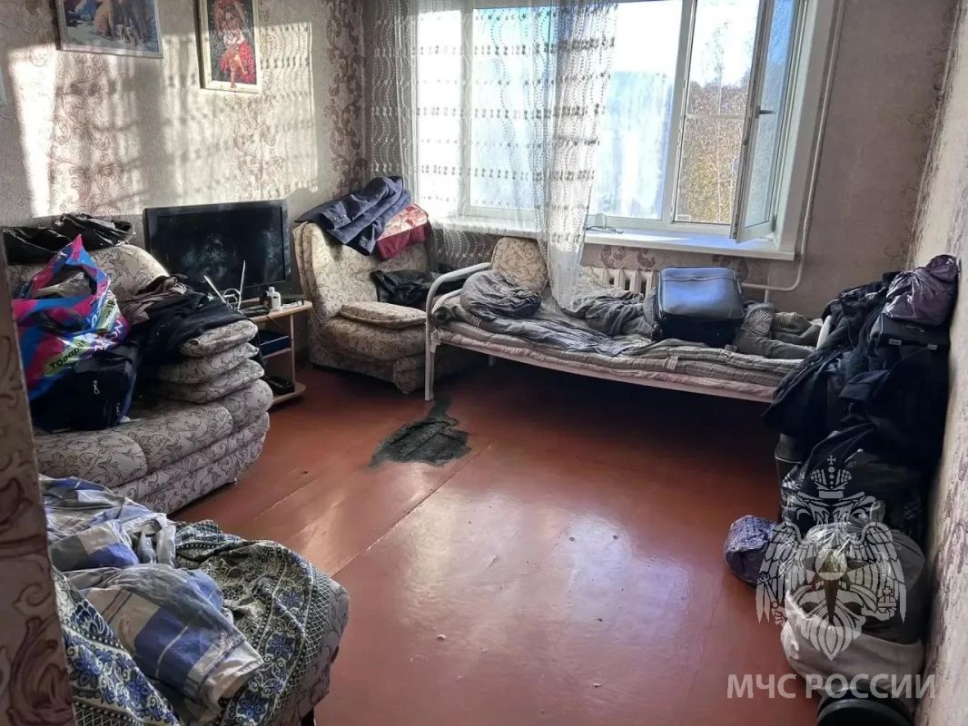 От теплого ковра до пепелища