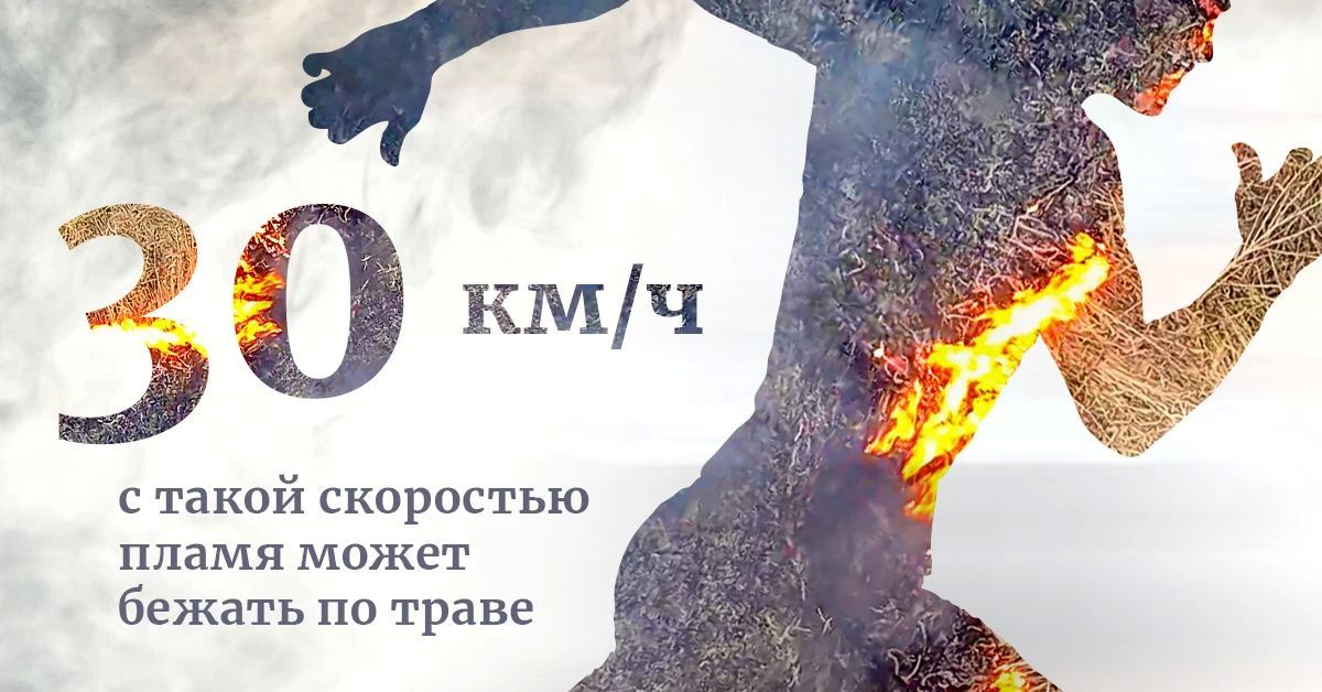 «Останови огонь» — акция, которая спасает леса
