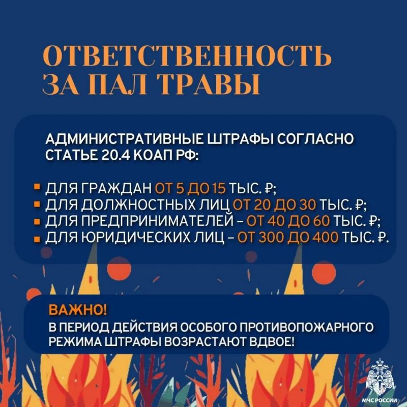 Пал травы недопустим: помните о безопасности Пал травы недопустим: помните о безопасности
