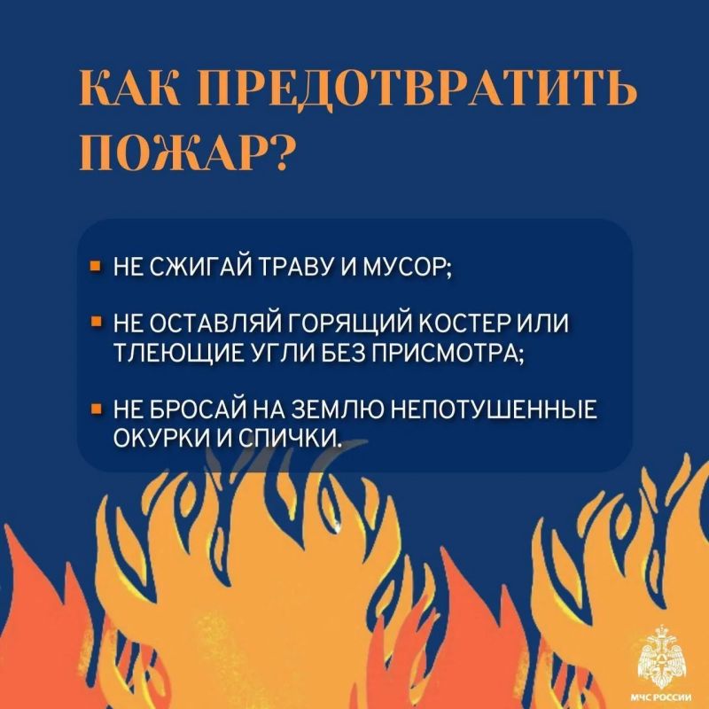 Пал травы недопустим: помните о безопасности Пал травы недопустим: помните о безопасности