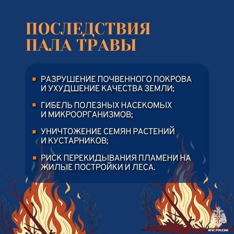 Пал травы недопустим: помните о безопасности Пал травы недопустим: помните о безопасности