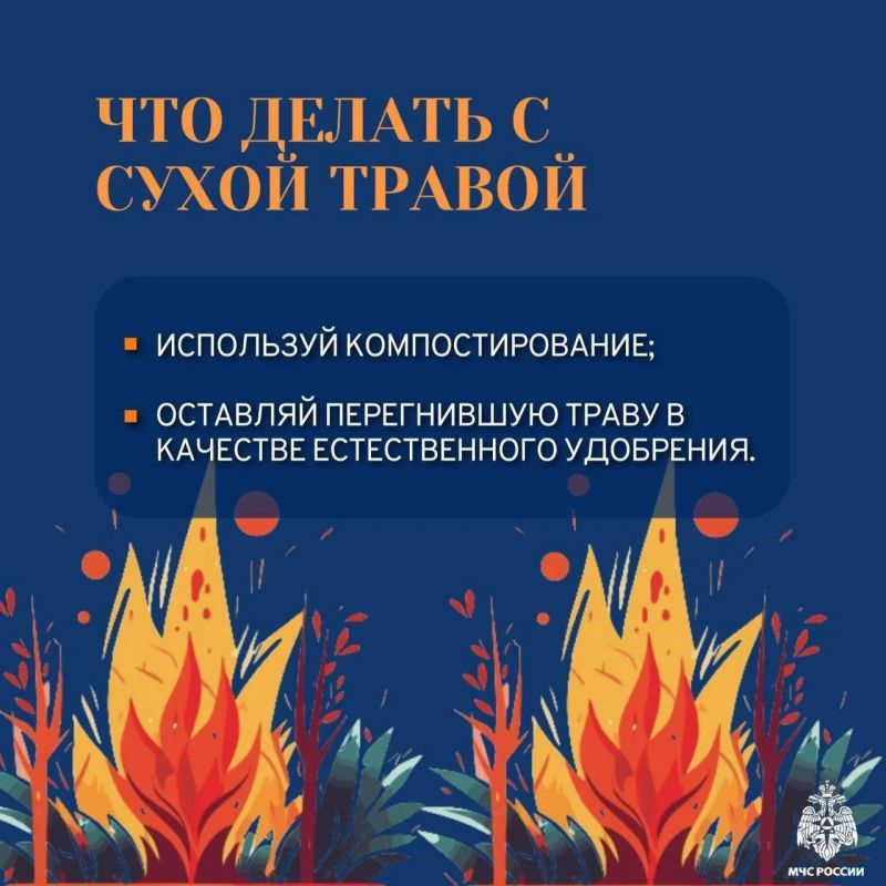 Пал травы недопустим: помните о безопасности Пал травы недопустим: помните о безопасности