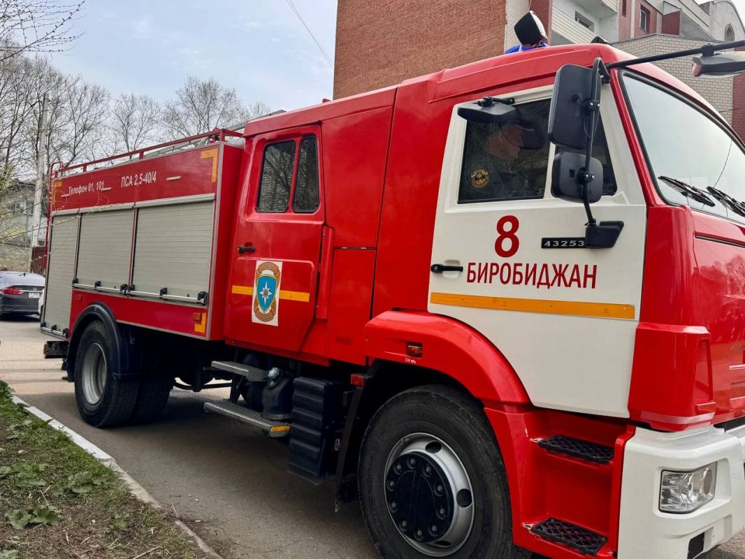 Погибли при пожаре женщина и кошка в Биробиджане