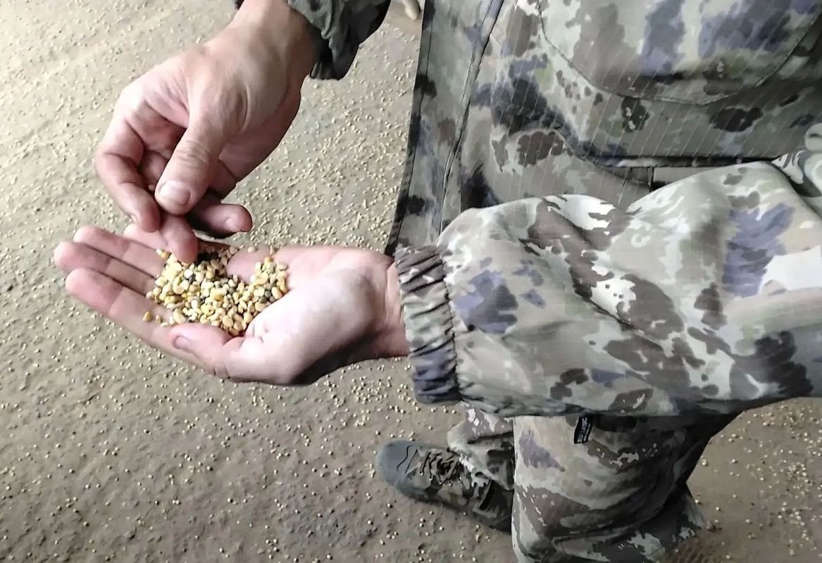 От парты до поля. Девятиклассники из школы села Благословенное побывали в гостях у фермера От парты до поля. Девятиклассники из школы села Благословенное побывали в гостях у фермера