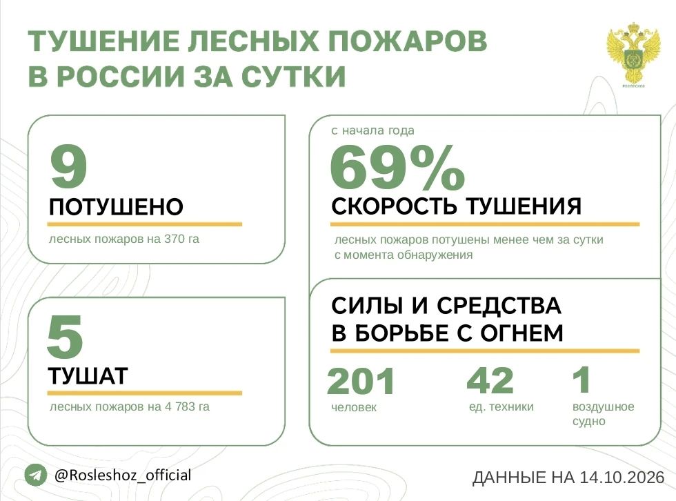 За прошедшие сутки в 7 регионах России потушили 9 лесных пожаров