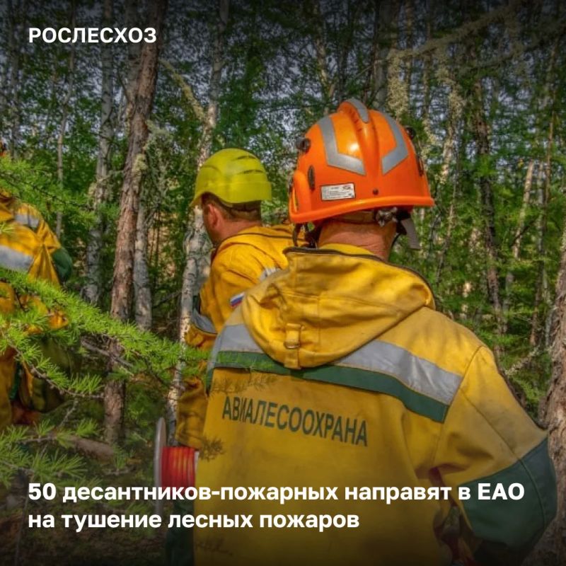 На 16:00 мск 14 октября в России на землях лесного фонда действуют 2 лесных пожара