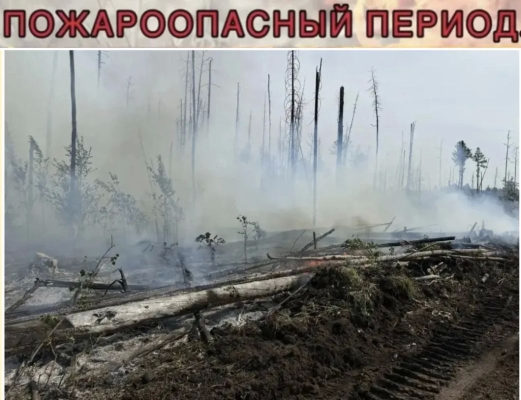 По иску прокурора суд взыскал с местного жителя расходы, понесенные при тушении пожара