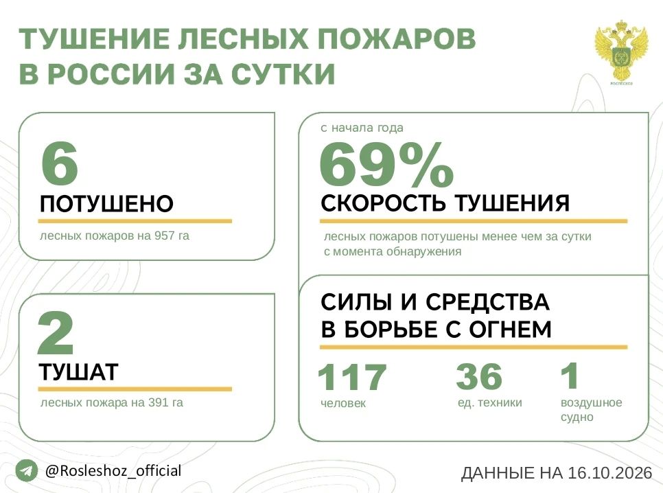 За прошедшие сутки в 4 регионах России потушили 6 лесных пожаров