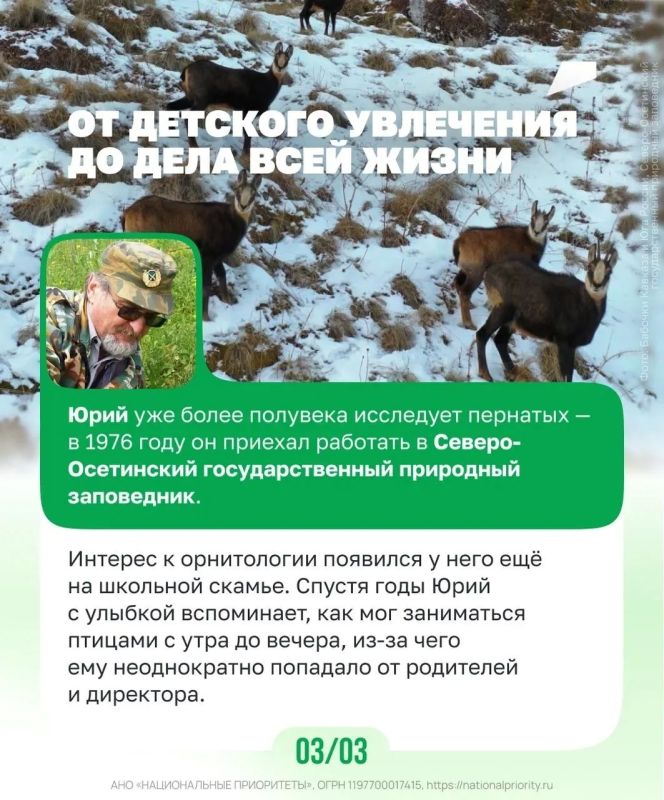 Их работа — беречь природу Их работа — беречь природу