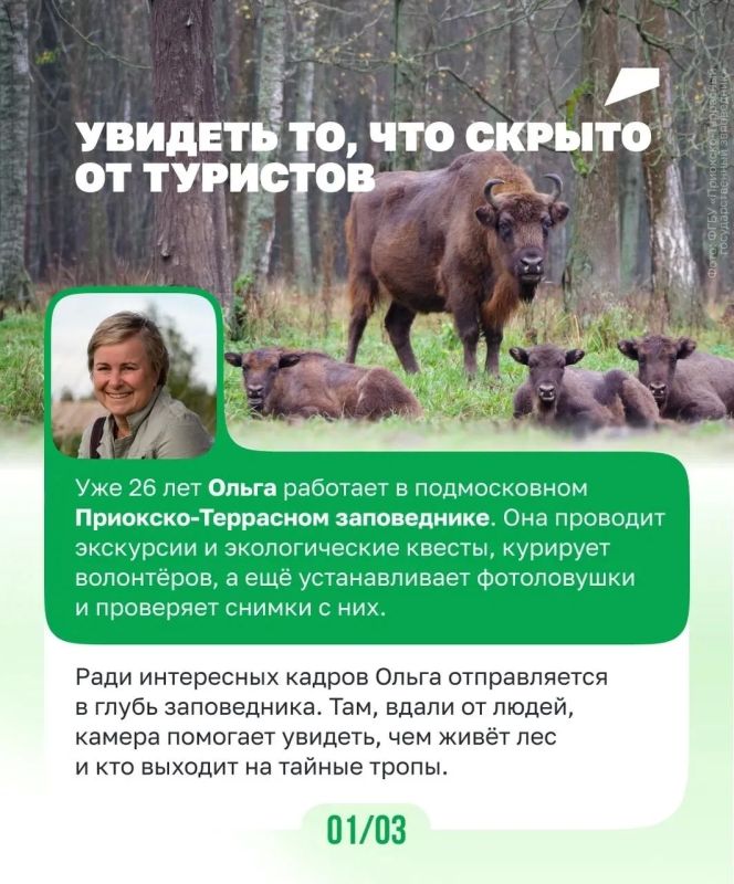 Их работа — беречь природу Их работа — беречь природу