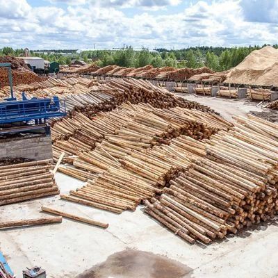 АРЕНДА ЛЕСОВ ДЛЯ ПРИОРИТЕТНЫХ ИНВЕСТПРОЕКТОВ: УТОЧНЁН РАСЧЁТ ПЛАТЫ