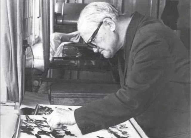 Алексей Иванович Куренцов (1896–1975): учёный, который понял дальневосточный лес Алексей Иванович Куренцов (1896–1975): учёный, который понял дальневосточный лес