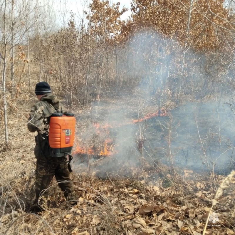 Гордость ЕАО: наши пожарные — лучшие на Дальнем Востоке! Гордость ЕАО: наши пожарные — лучшие на Дальнем Востоке!