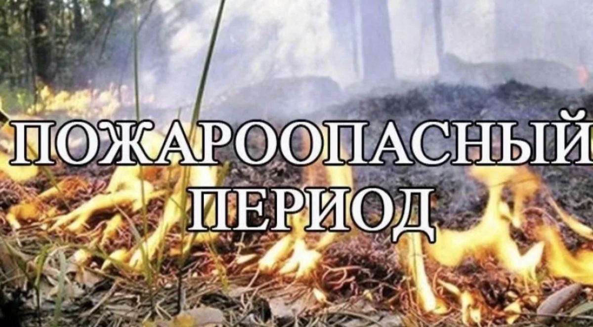 Горящий на участке мусор - и вот уже стена огня идёт к вашему двору!