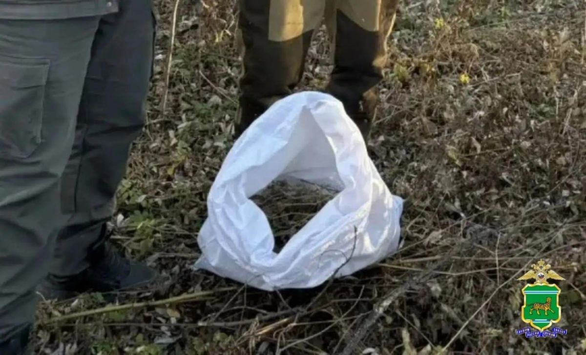 Шестеро мужчин были задержаны за сбор конопли в с. Воскресеновка ЕАО Шестеро мужчин были задержаны за сбор конопли в с. Воскресеновка ЕАО