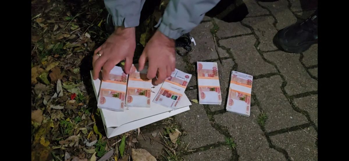 Заключен под стражу житель Смидовичского района, пытавшийся в качестве курьера похитить денежные средства местной жительницы Заключен под стражу житель Смидовичского района, пытавшийся в качестве курьера похитить денежные средства местной жительницы