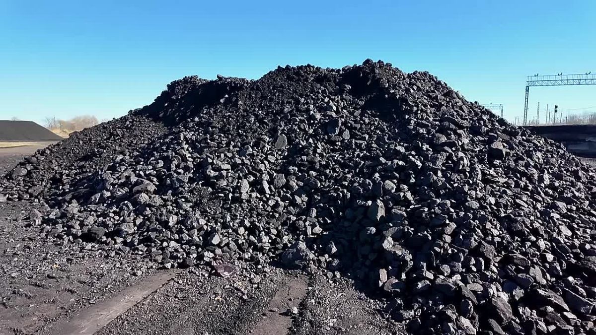 Мария Костюк: Во всех районах и городе ведем доставку твердого топлива семьям участников специальной военной операции