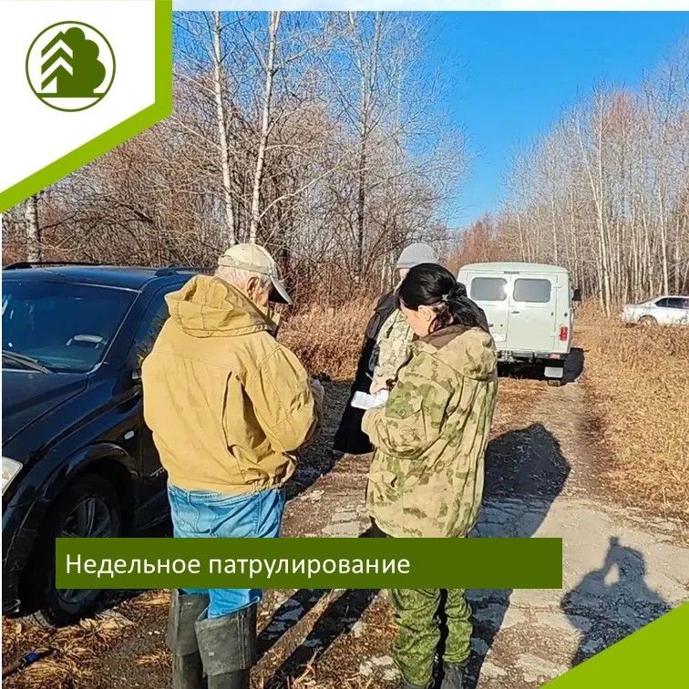 В лесах ЕАО усилили контроль: итоги недельного патрулирования В лесах ЕАО усилили контроль: итоги недельного патрулирования
