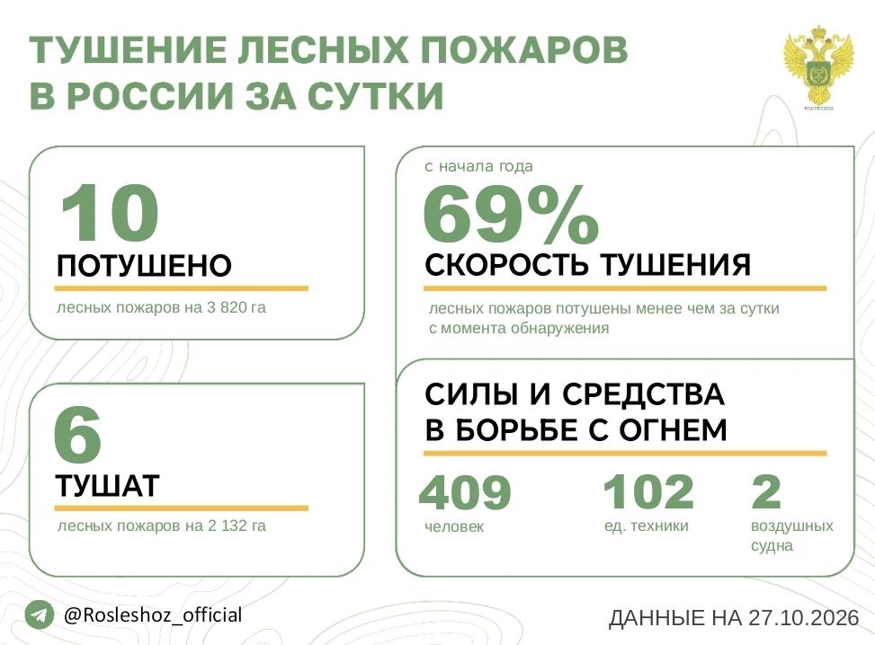 За прошедшие сутки в 8 регионах России потушили 10 лесных пожаров