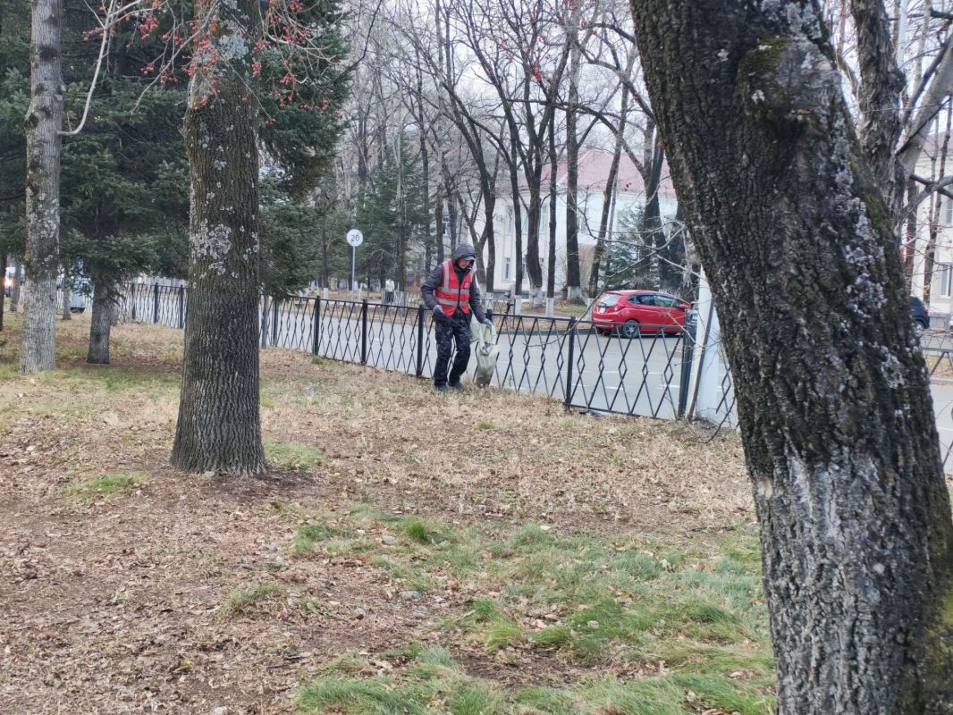 В Биробиджане параллельно с подготовкой к снегу ведется уборка территорий в ручном режиме