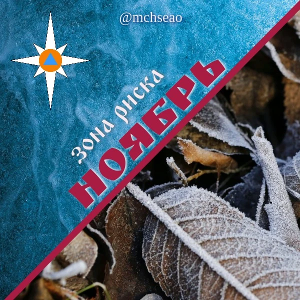 Ноябрь не будет мягким: снег, ветер и первые морозы