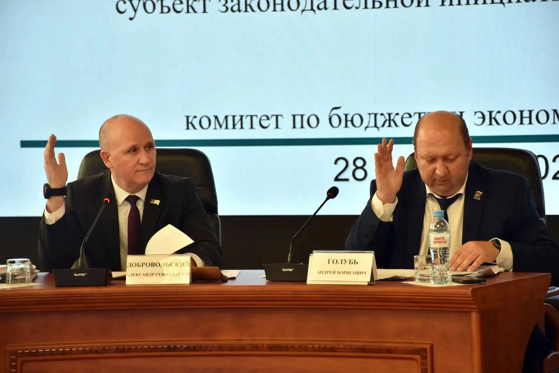 В Заксобрании ЕАО обсудили изменения в закон о местном референдуме